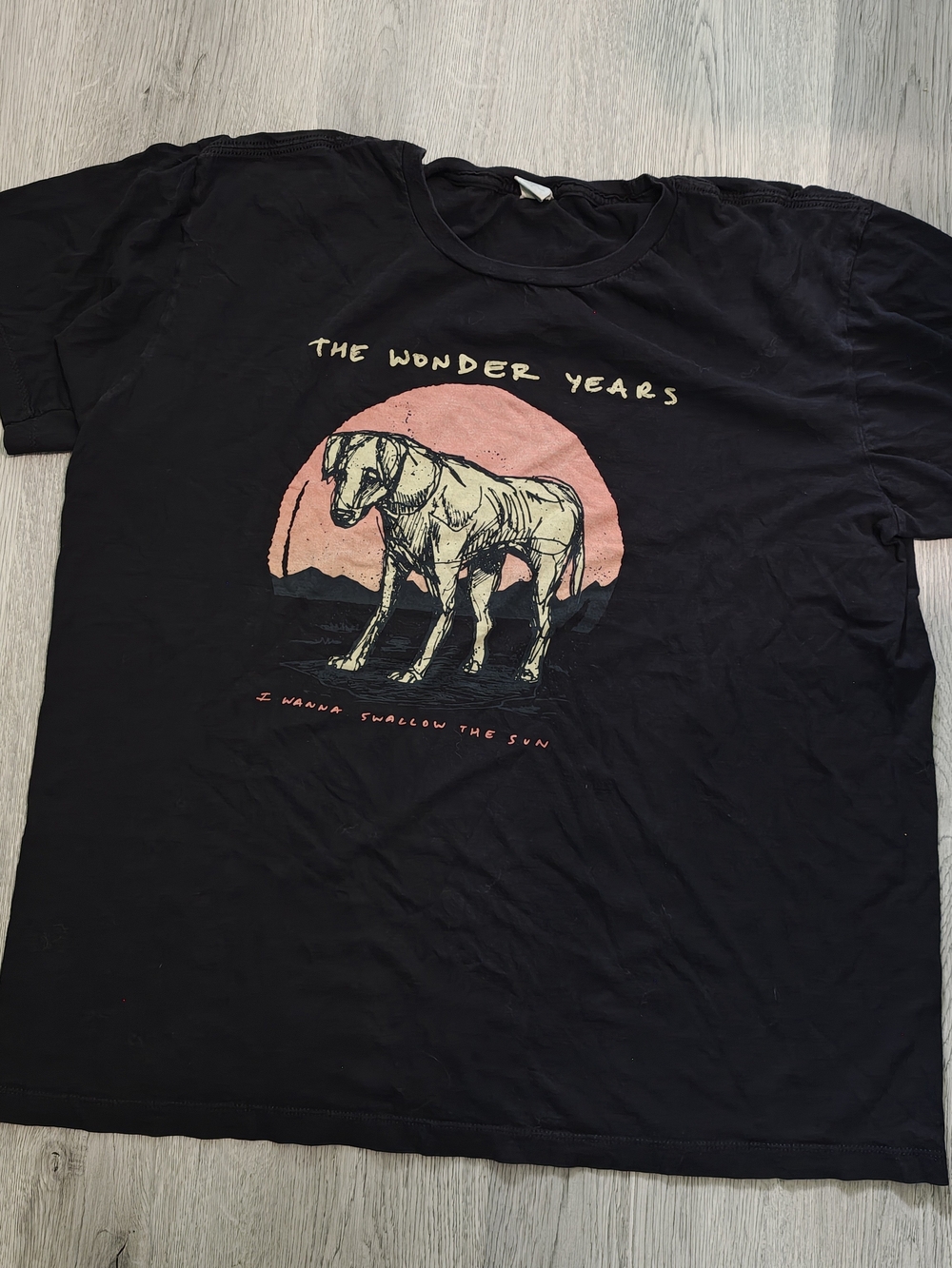The Wonder Years "I Wanna Swallow the Sun" Dog Graphic Band Tee XL